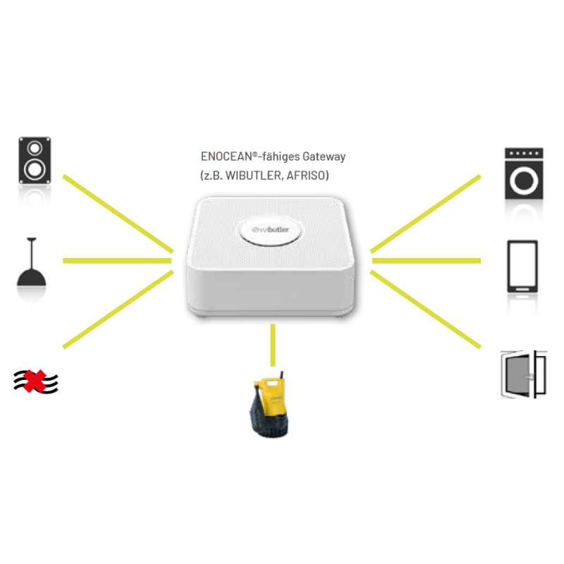 SMART HOME UNIT Pentair Jung Pumpen